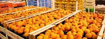 frutta1